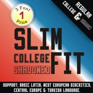 SlimFit Font (3 in 1)